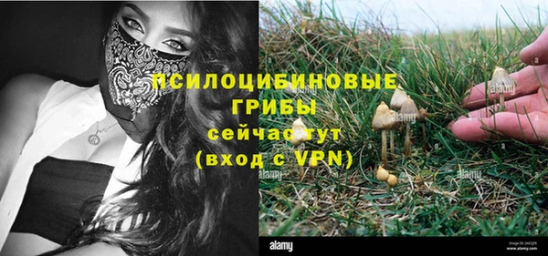 мдпв Гусь-Хрустальный