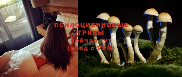 ешки Гусиноозёрск