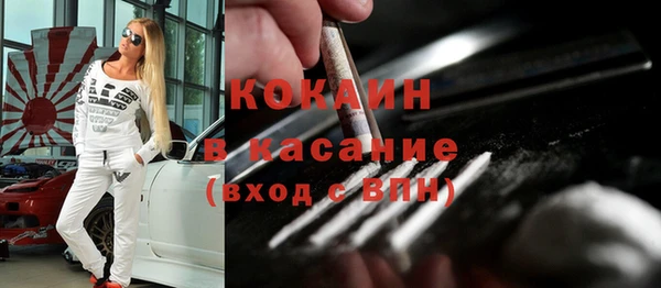 мдпв Гусь-Хрустальный