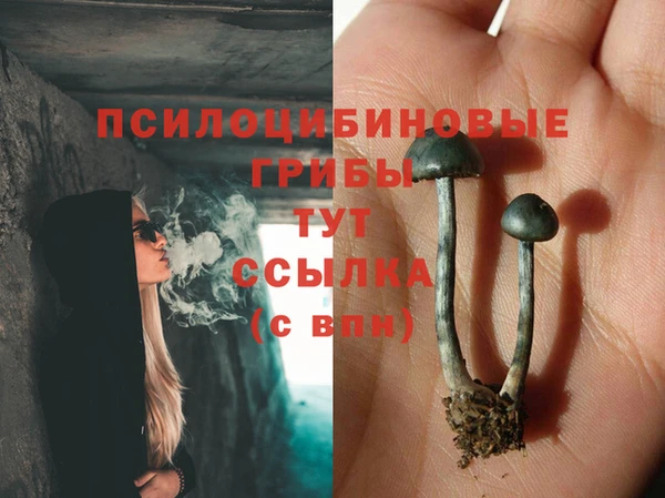ешки Гусиноозёрск