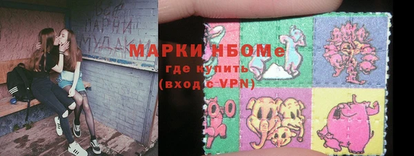 мдпв Гусь-Хрустальный