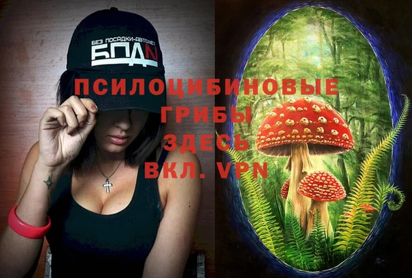 ешки Гусиноозёрск