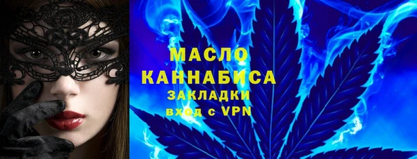 мдпв Гусь-Хрустальный
